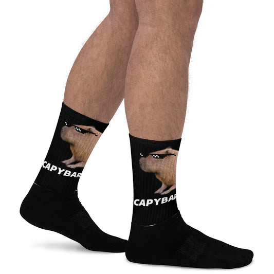 Socks (I'm a capybara vermversh)